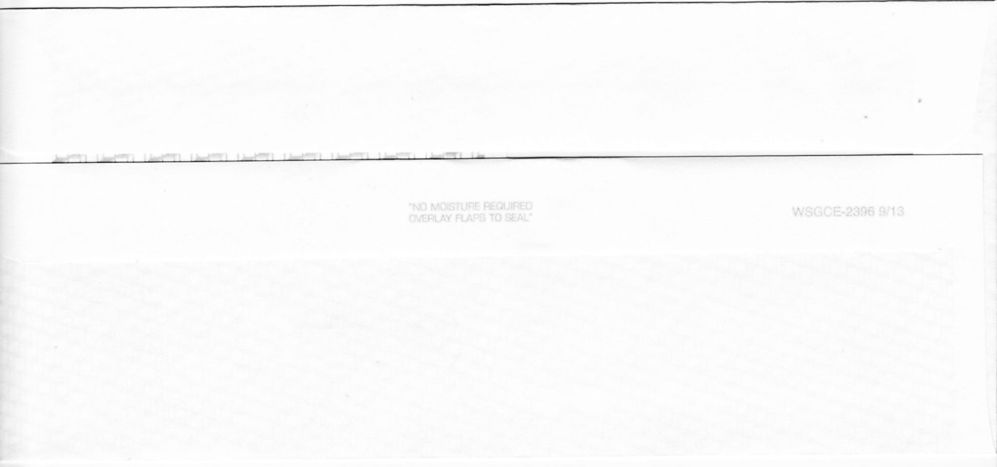 wsgce self seal envelope backs _0001